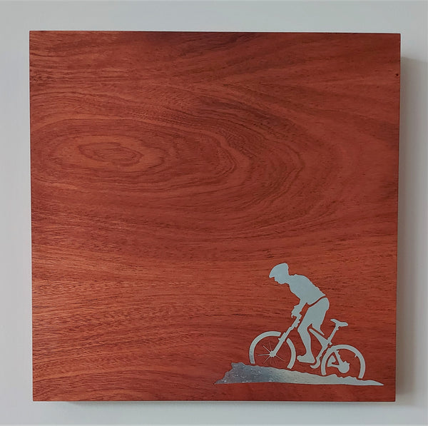 Cyclist Magnet Board (small)