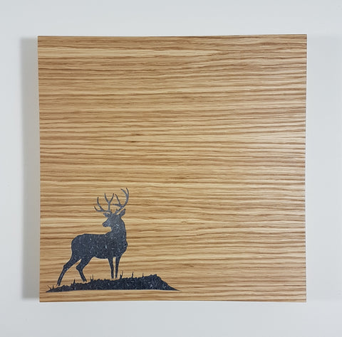 Buck Magnet Board (small)